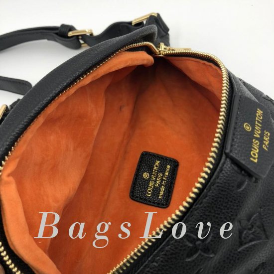 Женская сумка Louis Vuitton (Луи Виттон) B107582