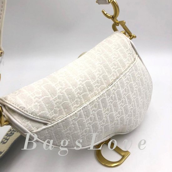 Женская сумка Christian Dior (Кристиан Диор) B107627