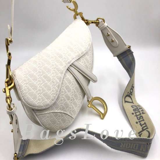 Женская сумка Christian Dior (Кристиан Диор) B107627