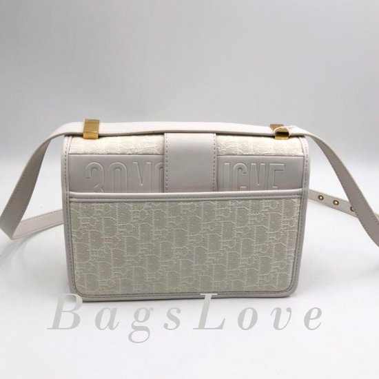 Женская сумка Christian Dior (Кристиан Диор) B107628