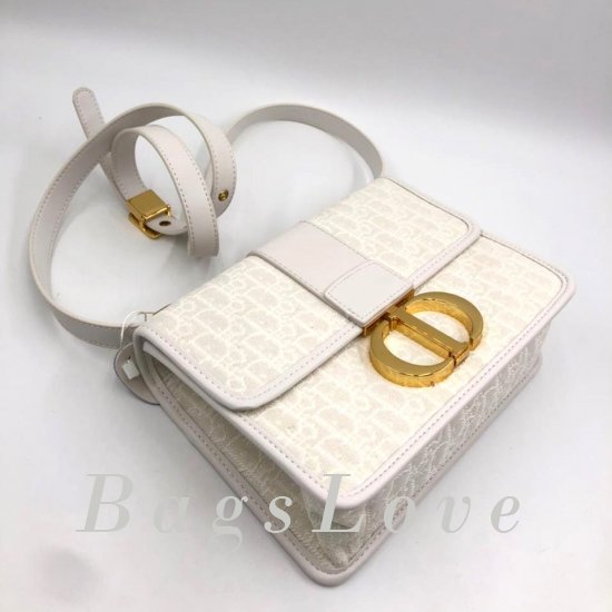 Женская сумка Christian Dior (Кристиан Диор) B107628