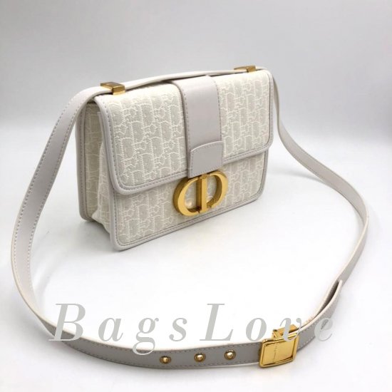 Женская сумка Christian Dior (Кристиан Диор) B107628