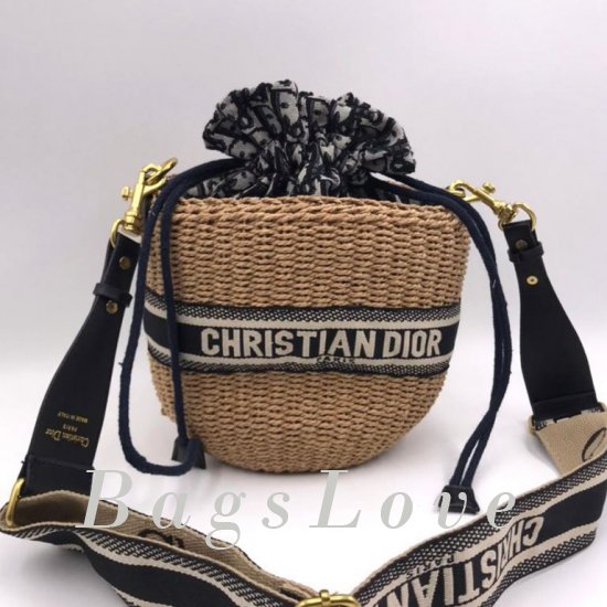 Женская сумка Christian Dior (Кристиан Диор) B107632