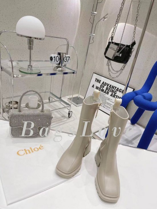 Женские ботинки Chloe B107743