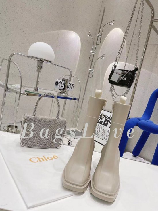 Женские ботинки Chloe B107743