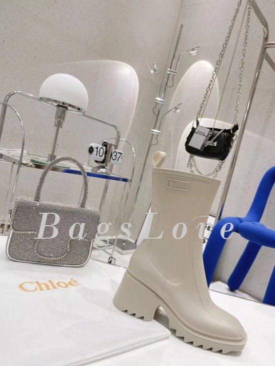 Женские ботинки Chloe B107743