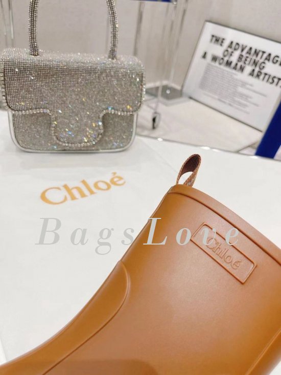 Женские ботинки Chloe B107744