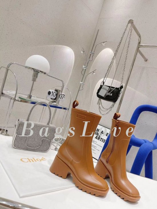 Женские ботинки Chloe B107744
