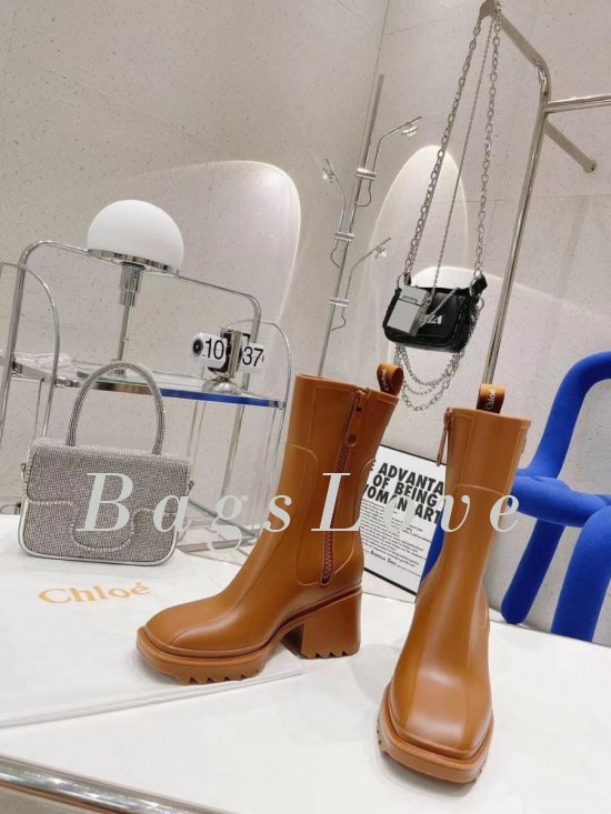 Женские ботинки Chloe B107744