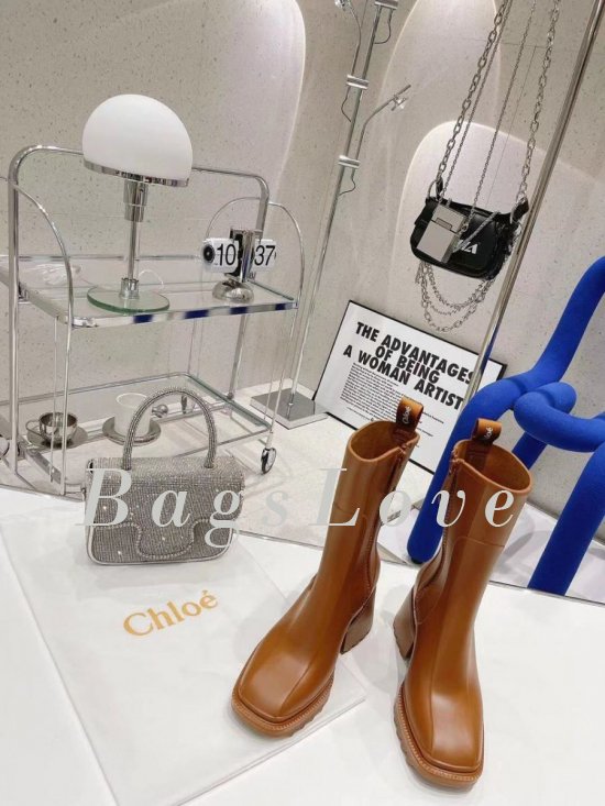 Женские ботинки Chloe B107744