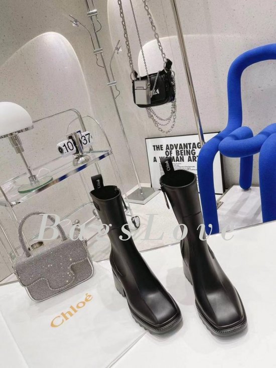 Женские ботинки Chloe B107745