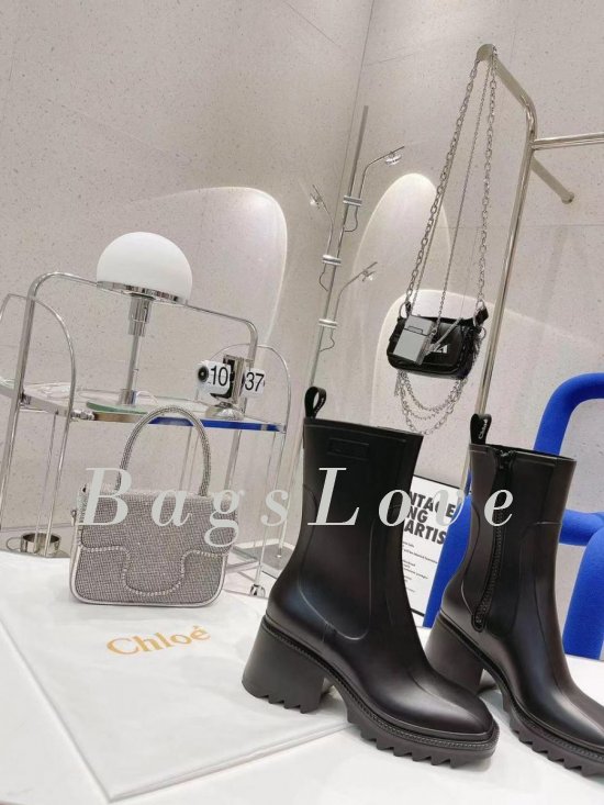 Женские ботинки Chloe B107745