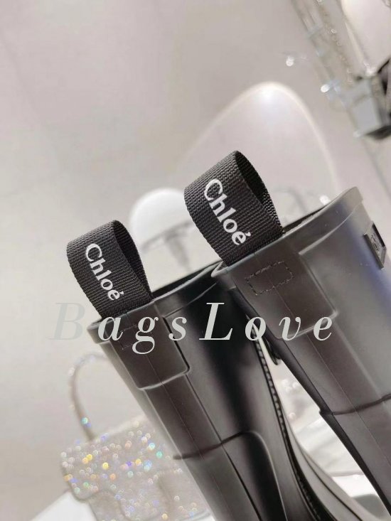 Женские ботинки Chloe B107745