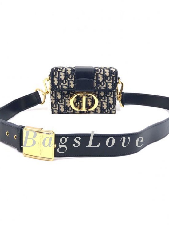 Женская сумка Christian Dior B107814