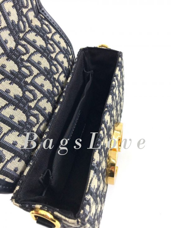 Женская сумка Christian Dior B107814