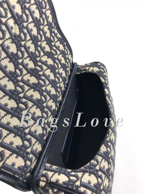 Женская сумка Christian Dior B107815