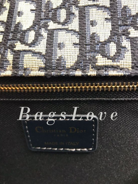 Женская сумка Christian Dior B107817