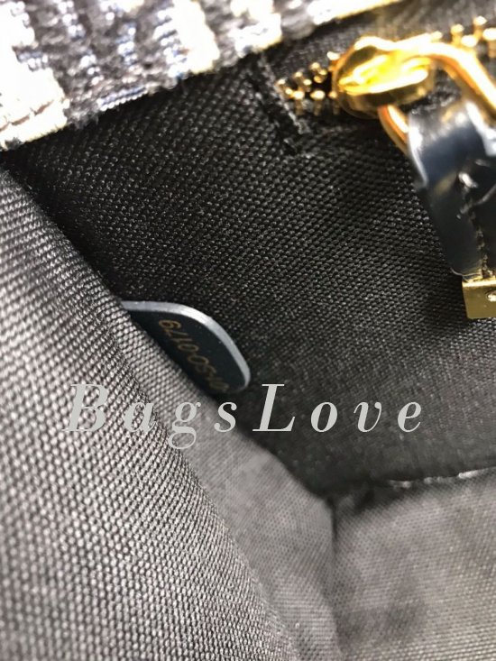 Женская сумка Christian Dior B107817