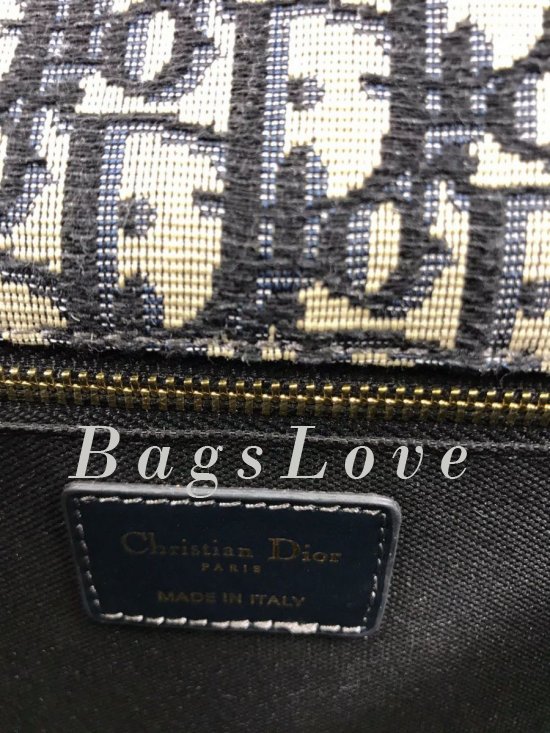 Женская сумка Christian Dior B107818