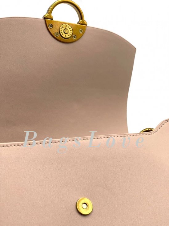 Женская сумка Charles&Keith B107833