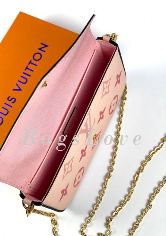 Женская сумка Louis Vuitton B107861