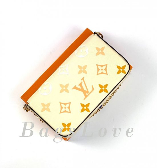 Женская сумка Louis Vuitton B107864