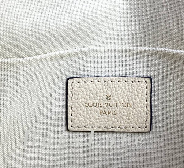 Женская сумка Louis Vuitton B107864