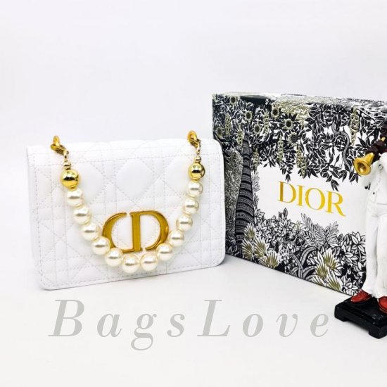 Женская сумка Christian Dior B107894