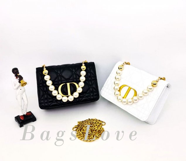 Женская сумка Christian Dior B107894