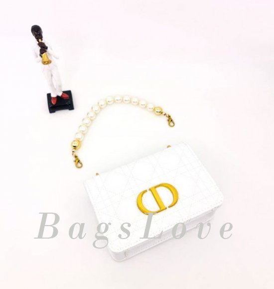 Женская сумка Christian Dior B107894