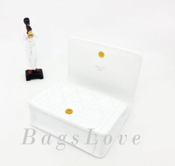 Женская сумка Christian Dior B107894