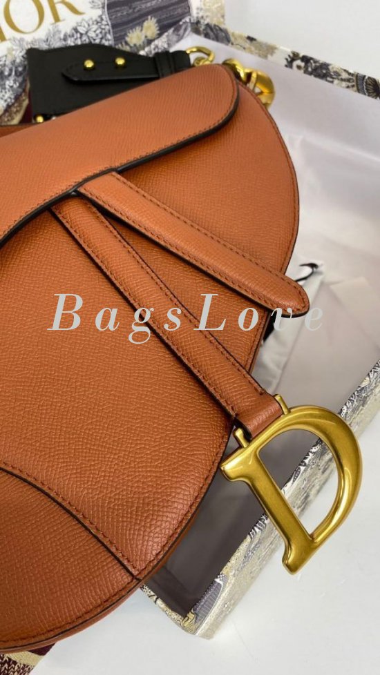 Женская сумка Christian Dior B107899