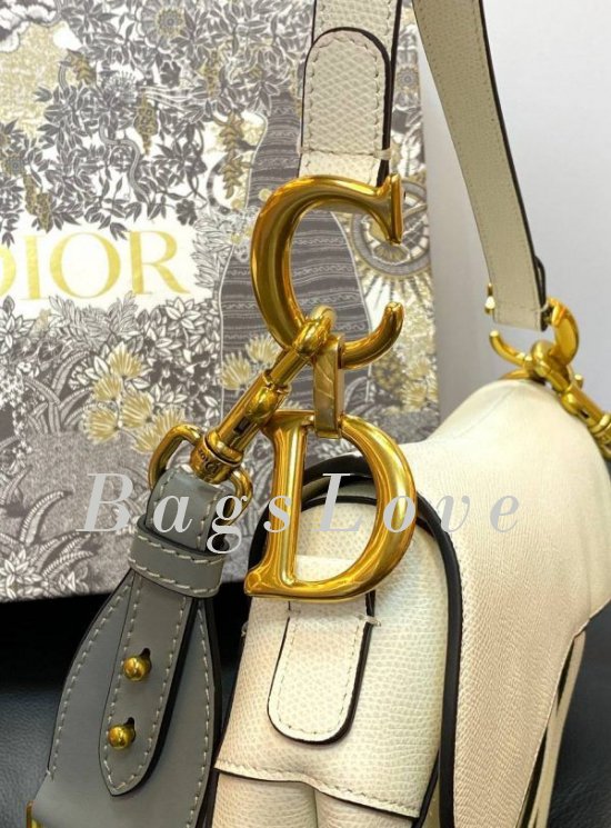 Женская сумка Christian Dior B107903