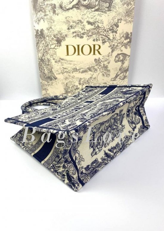 Женская сумка Christian Dior B107906