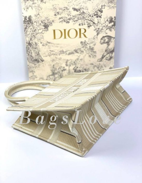 Женская сумка Christian Dior B107908