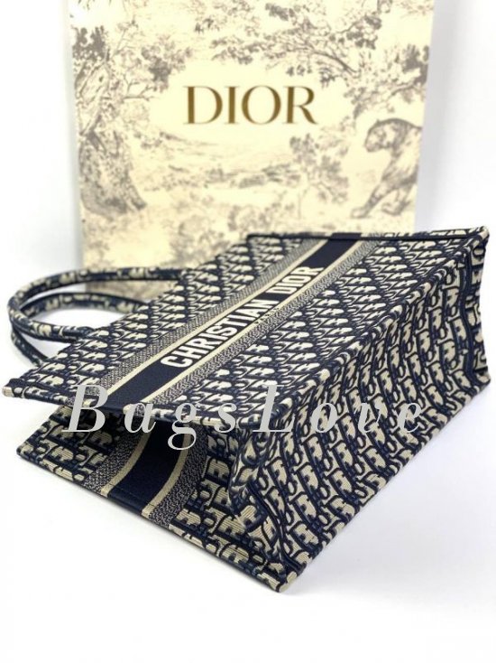 Женская сумка Christian Dior B107910