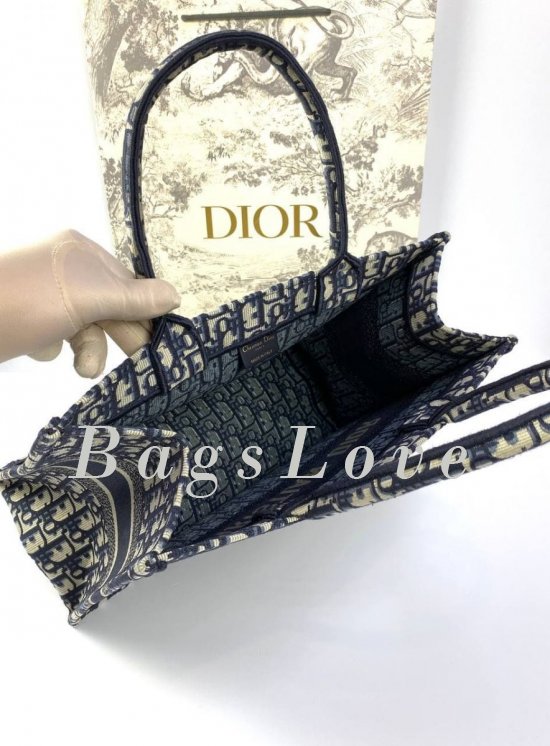 Женская сумка Christian Dior B107910