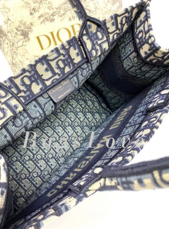 Женская сумка Christian Dior B107910