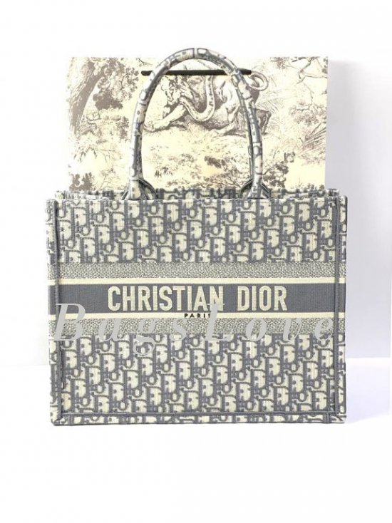 Женская сумка Christian Dior B107911