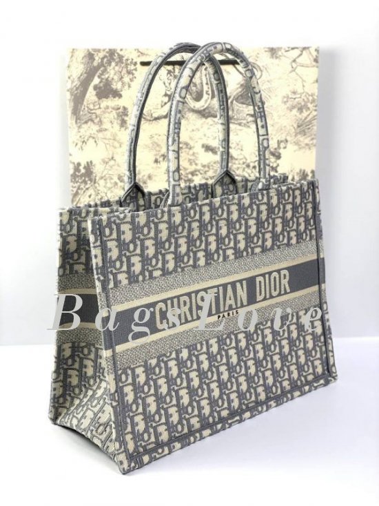 Женская сумка Christian Dior B107911