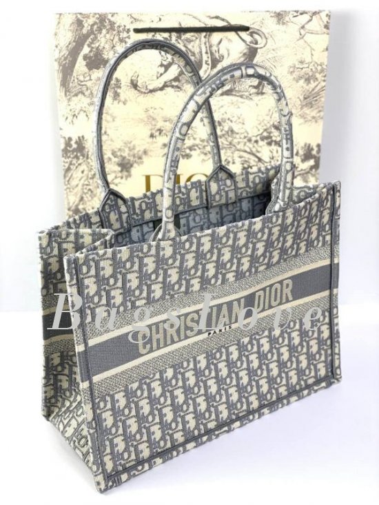 Женская сумка Christian Dior B107911