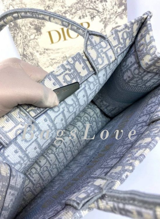 Женская сумка Christian Dior B107911