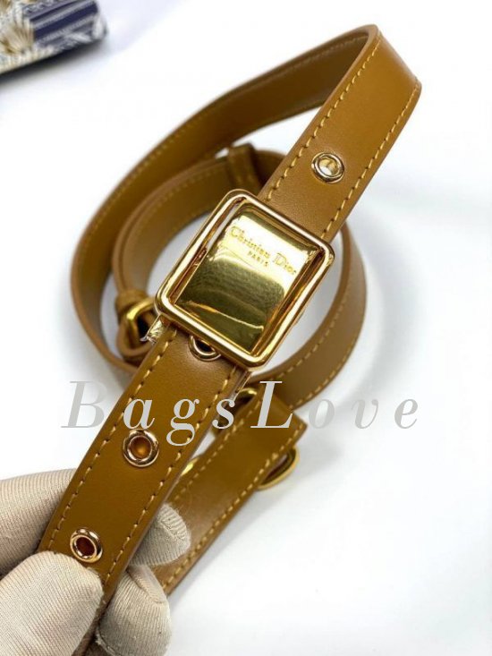 Женская сумка Christian Dior B107916