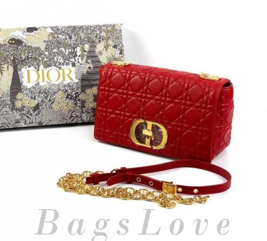 Женская сумка Christian Dior B107919