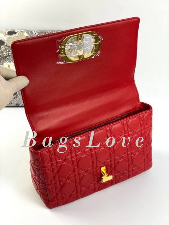 Женская сумка Christian Dior B107919