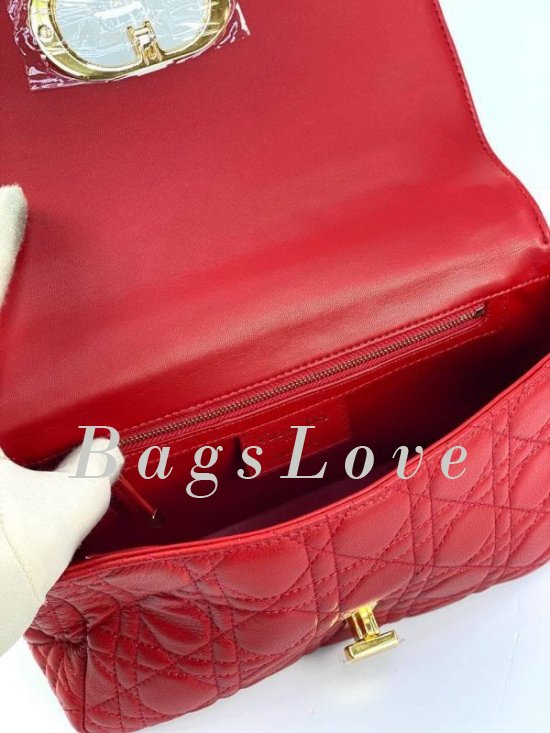 Женская сумка Christian Dior B107919