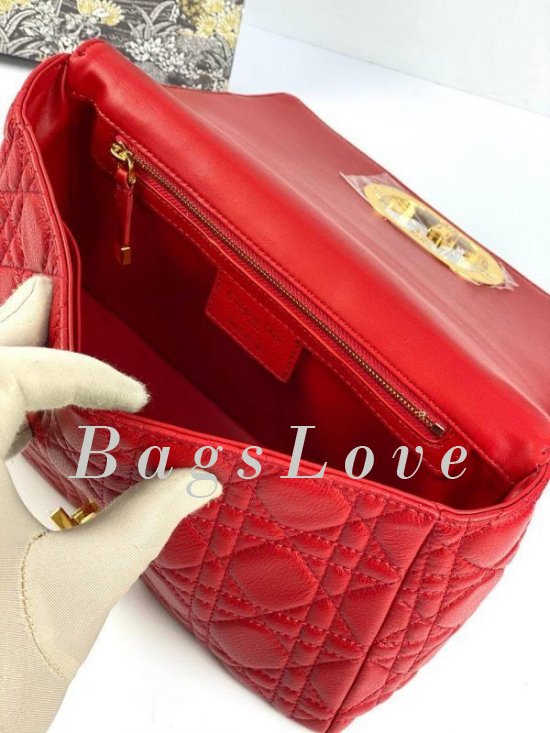 Женская сумка Christian Dior B107919