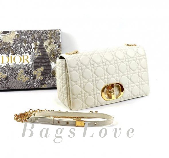 Женская сумка Christian Dior B107920