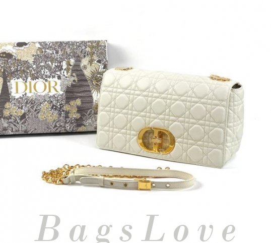 Женская сумка Christian Dior B107920