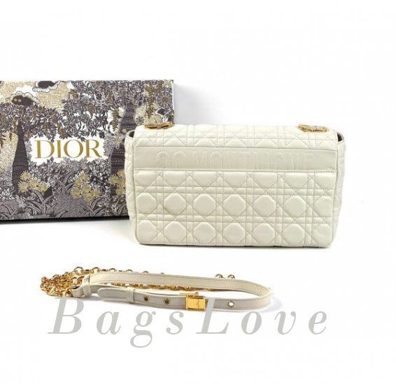 Женская сумка Christian Dior B107920